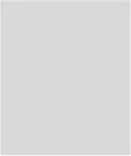 Rectangle 338