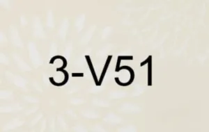 3 V51