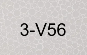 3 V56
