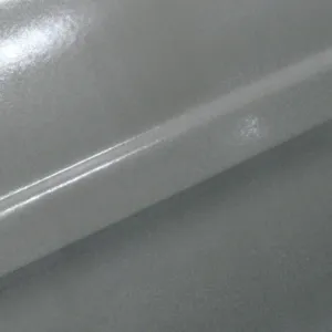 Lss Sample Ral9007