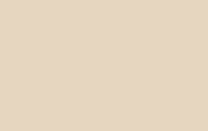 Ral 1015 Mat