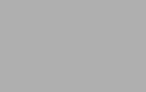 Ral 9006 Mat