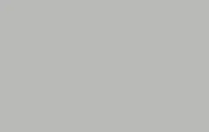 Ral 9006 Mat