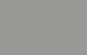 Ral 9007 Mat